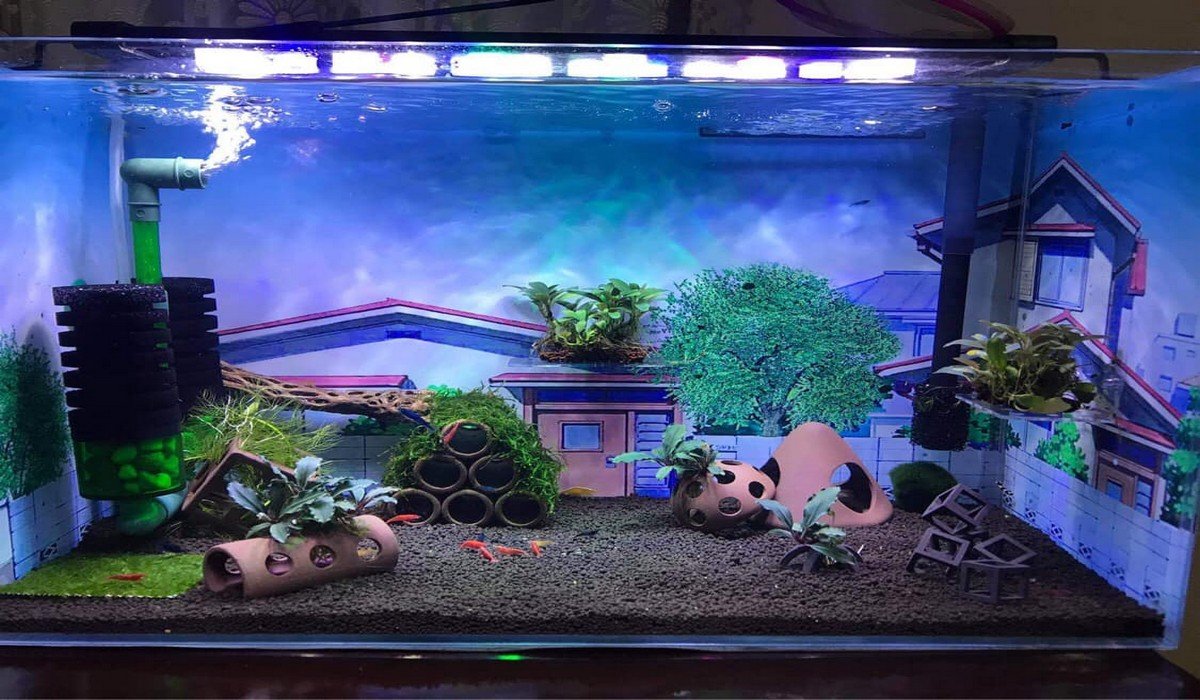 minimalist fish tank｜TikTok Search