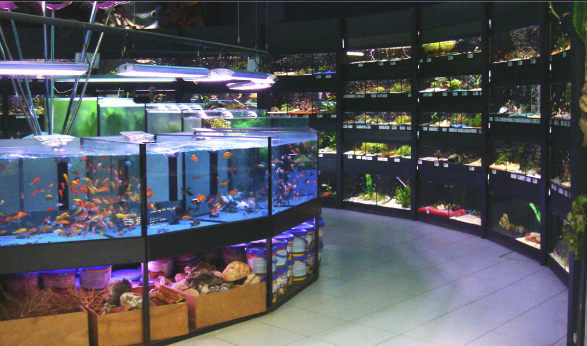 The hot sale aquarium shoppe