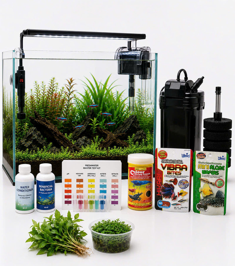 Start a Winter Tank Setup