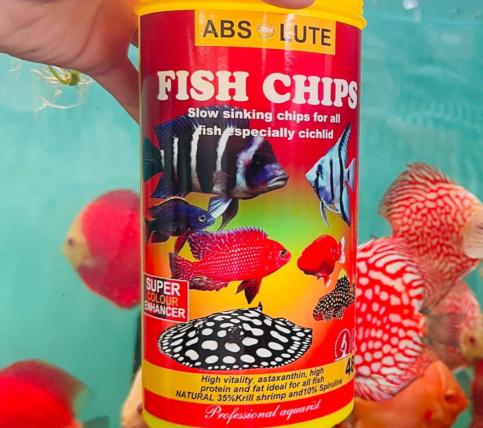 Absolute Fish Chips (Slow Sinking) Micro Aquatic Shop