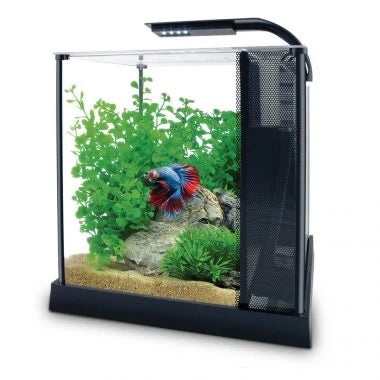 Fluval Premium Betta Kit 10ltr