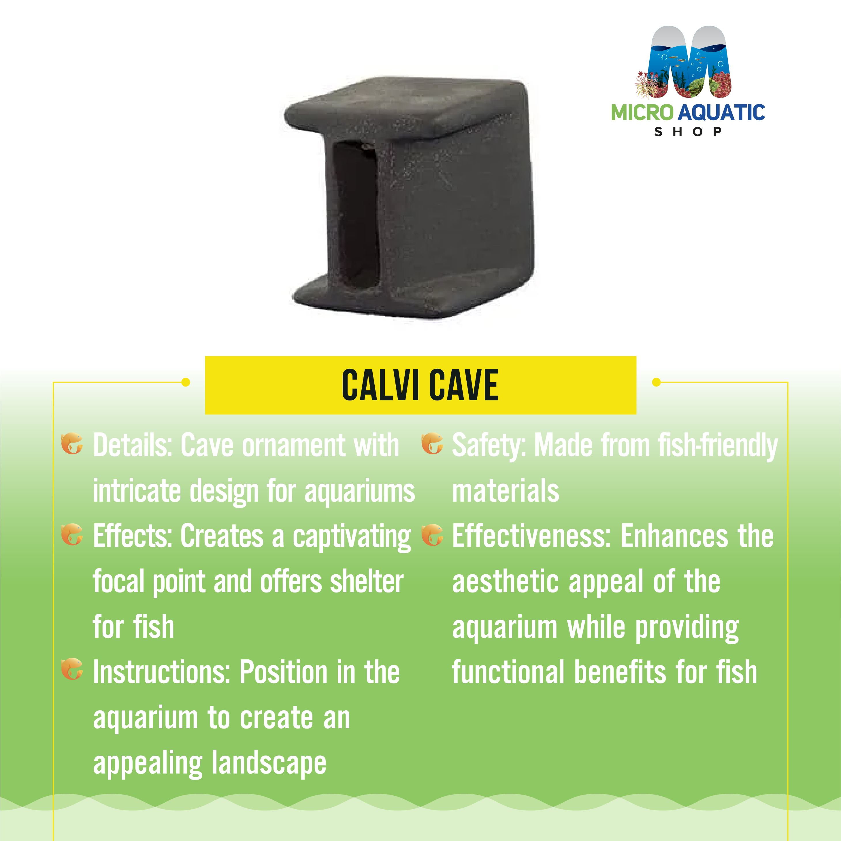Calvi Cave Micro Aquatic Shop