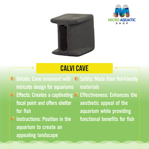 Calvi Cave Micro Aquatic Shop