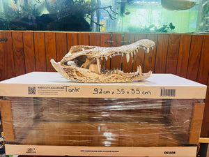 Alligator Skull - Resin Ornament Micro Aquatic Shop
