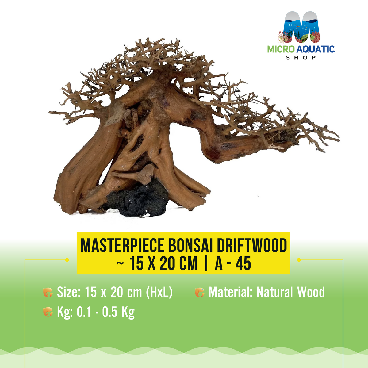 Masterpiece Bonsai Driftwood ~ 15 x 20 cm | A - 45