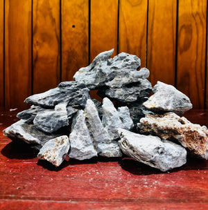 Asteroid Stone Micro Aquatic Shop