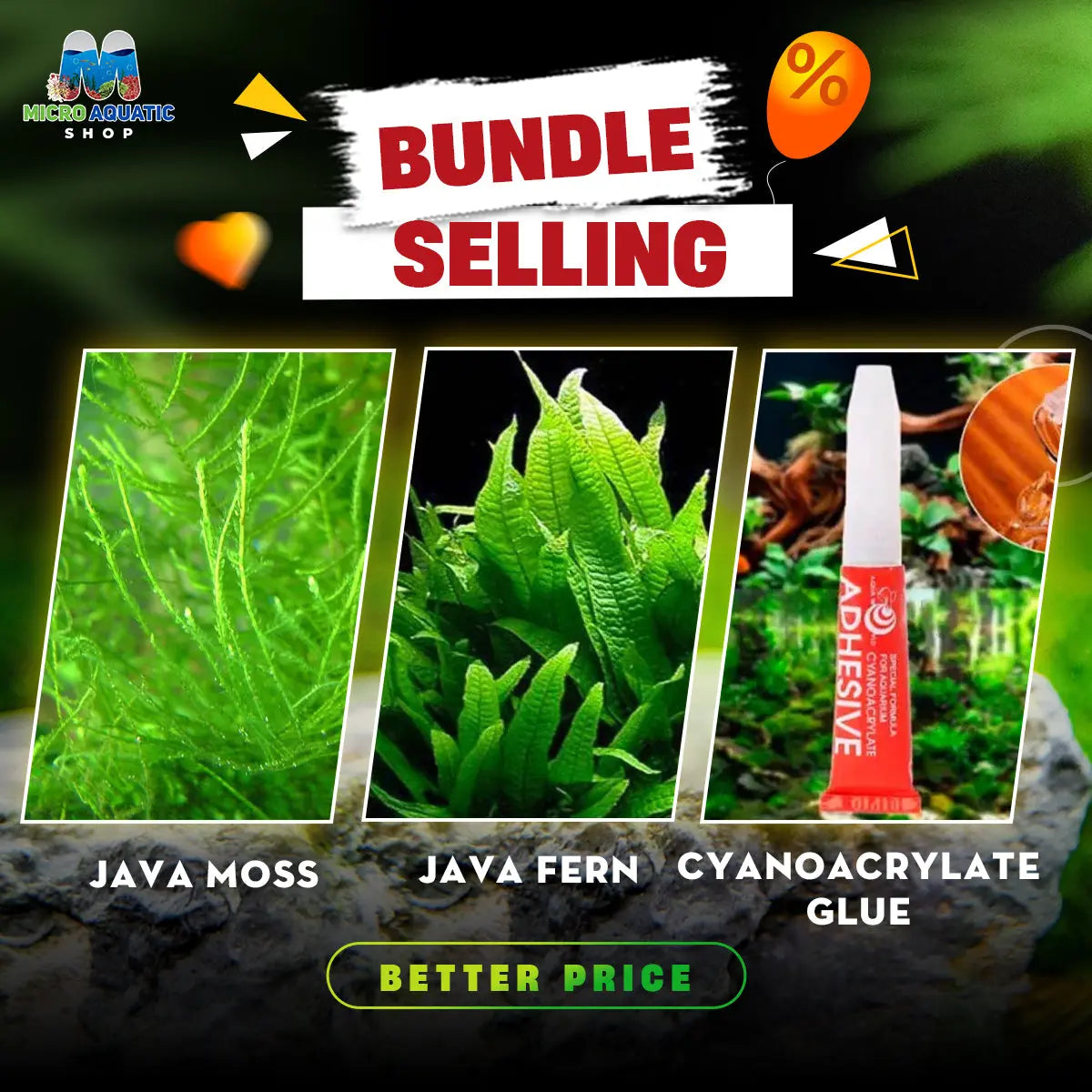 Java Fern X Java Moss X Cyanoacrylate Glue: Special Bundle Micro Aquatic Shop