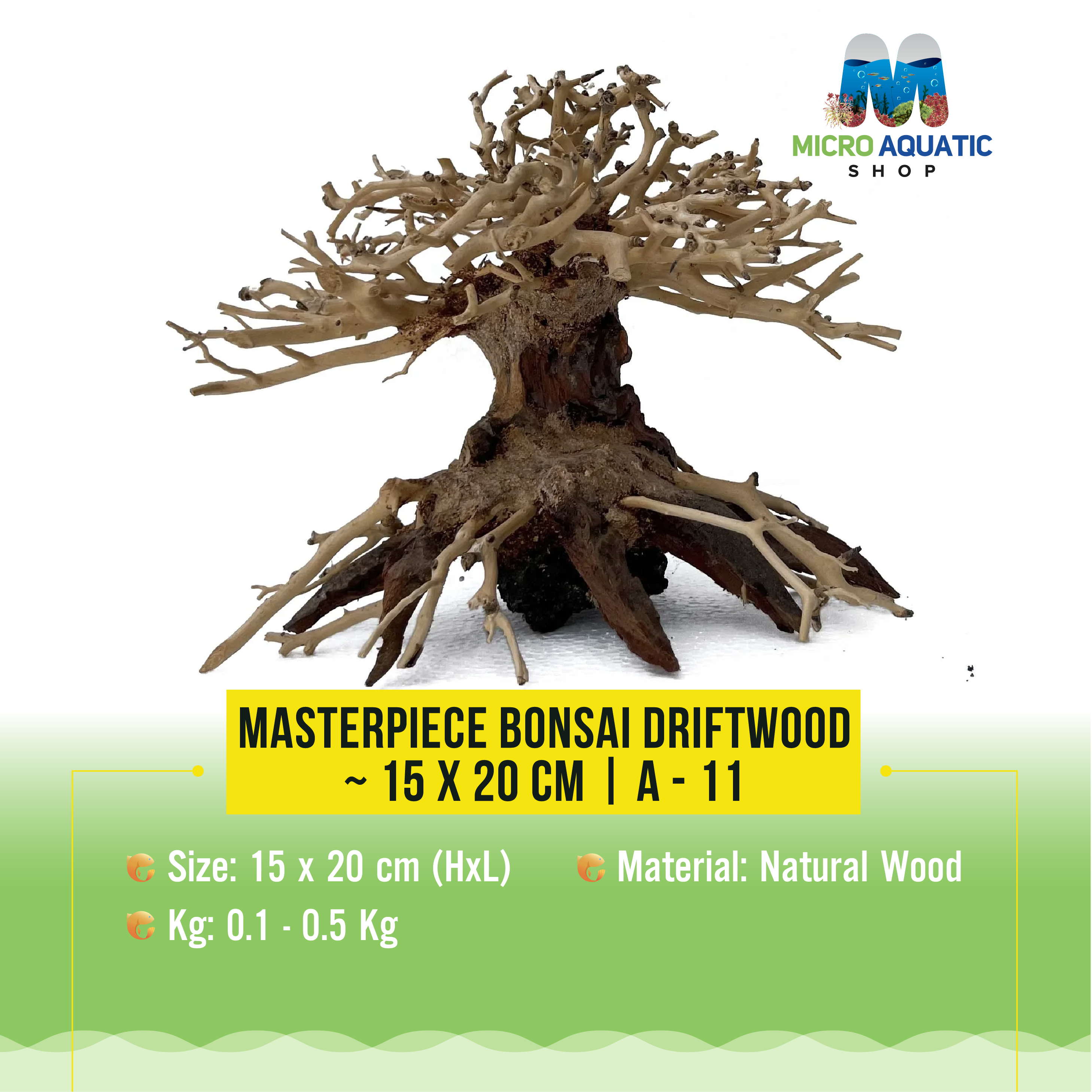Masterpiece Bonsai Driftwood ~ 15 x 20 cm | A - 11
