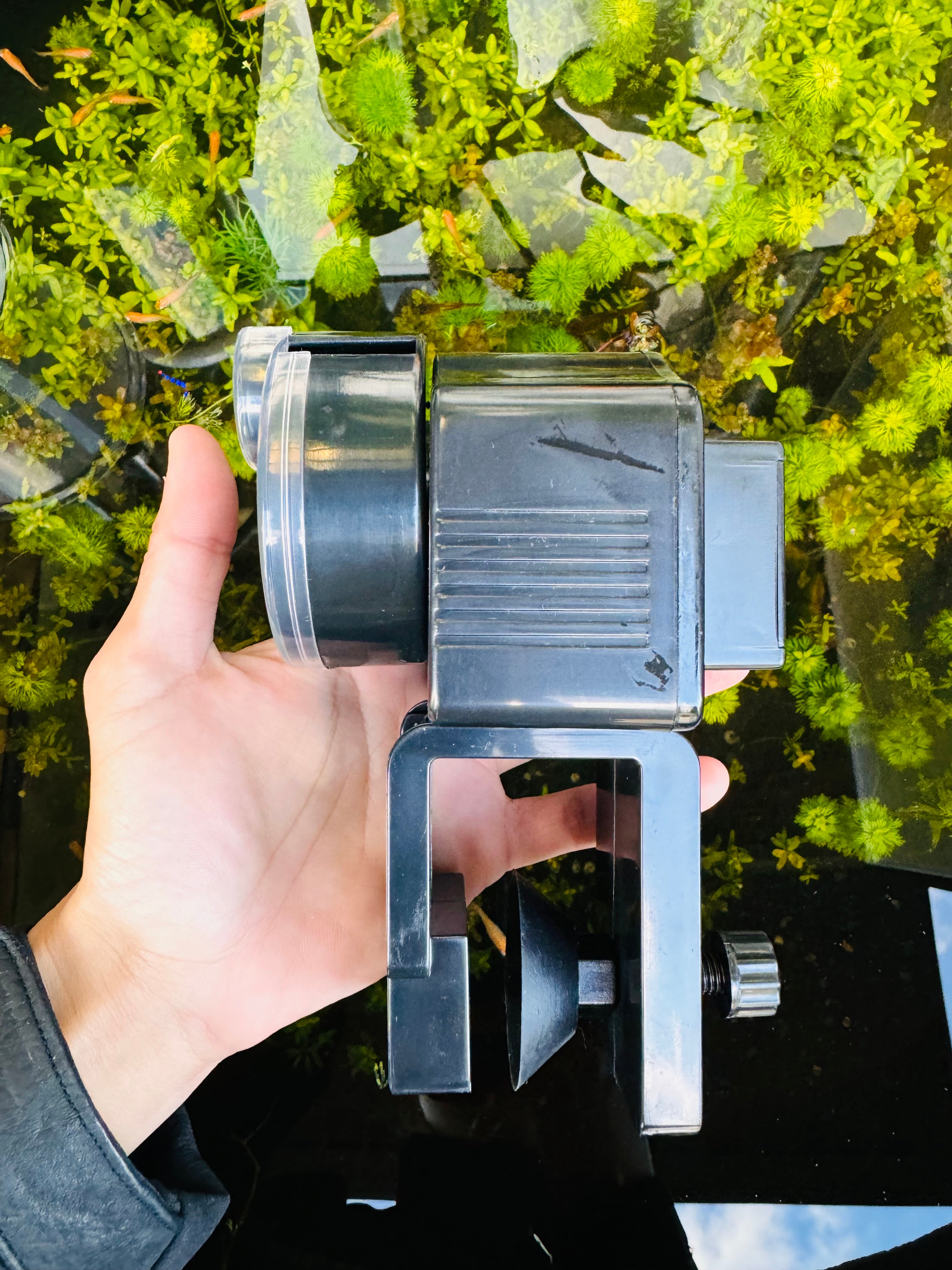 Automatic Feeder - Battery 2 times/day