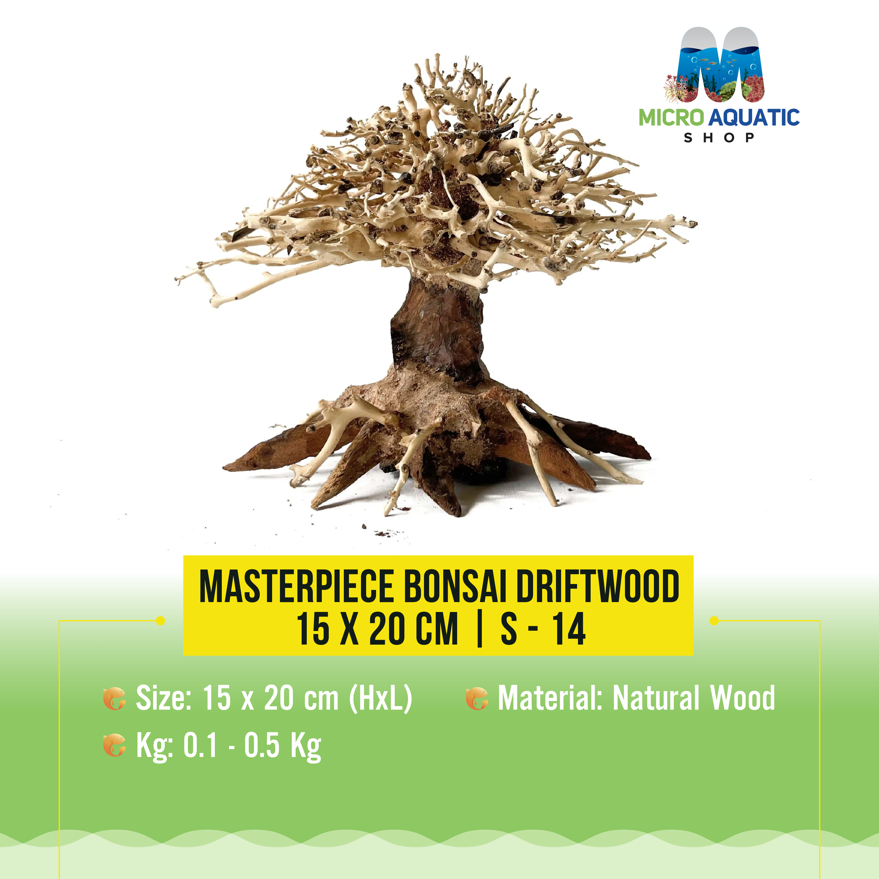 Masterpiece Bonsai Driftwood - 15 x 20 cm | S - 14