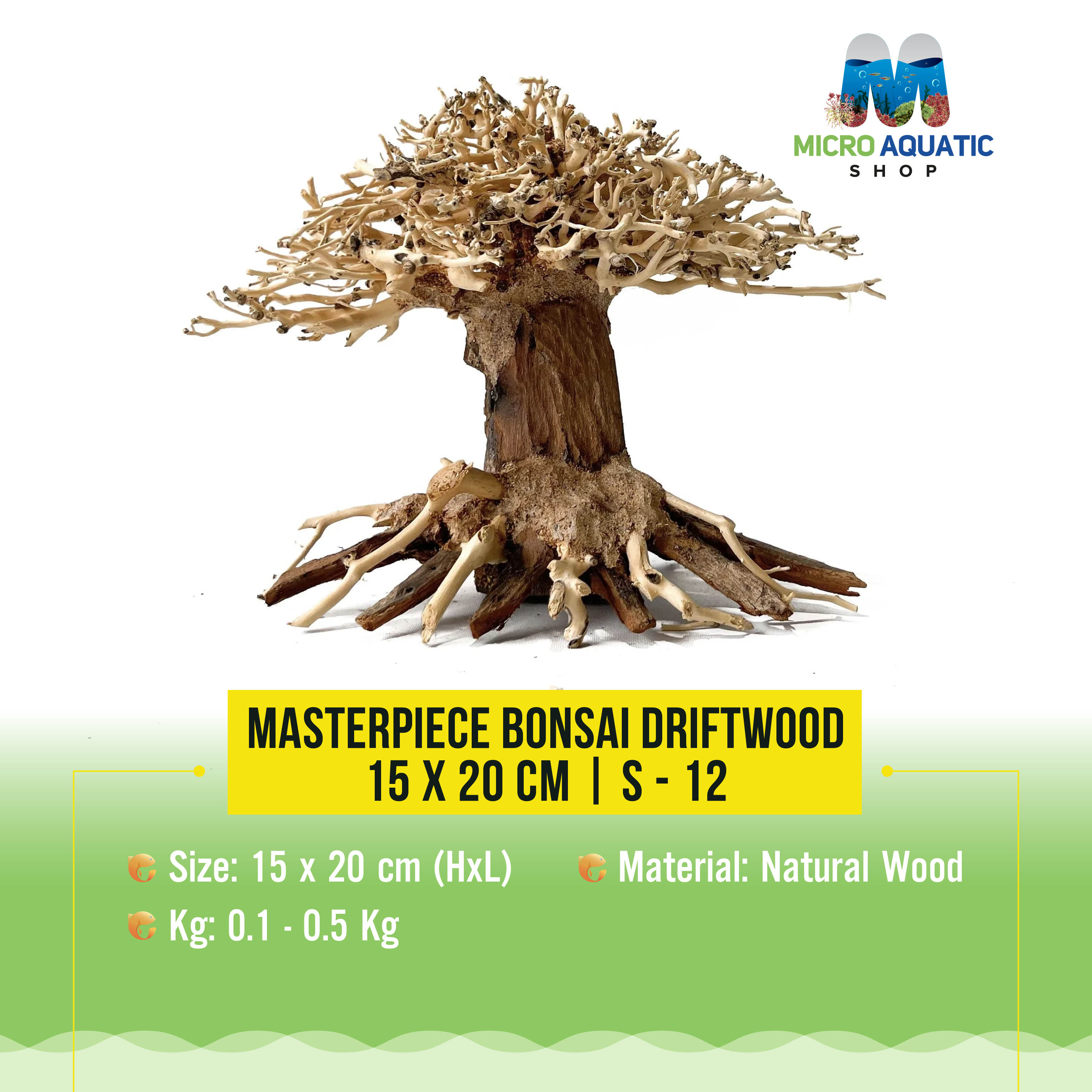 Masterpiece Bonsai Driftwood - 15 x 20 cm | S - 12