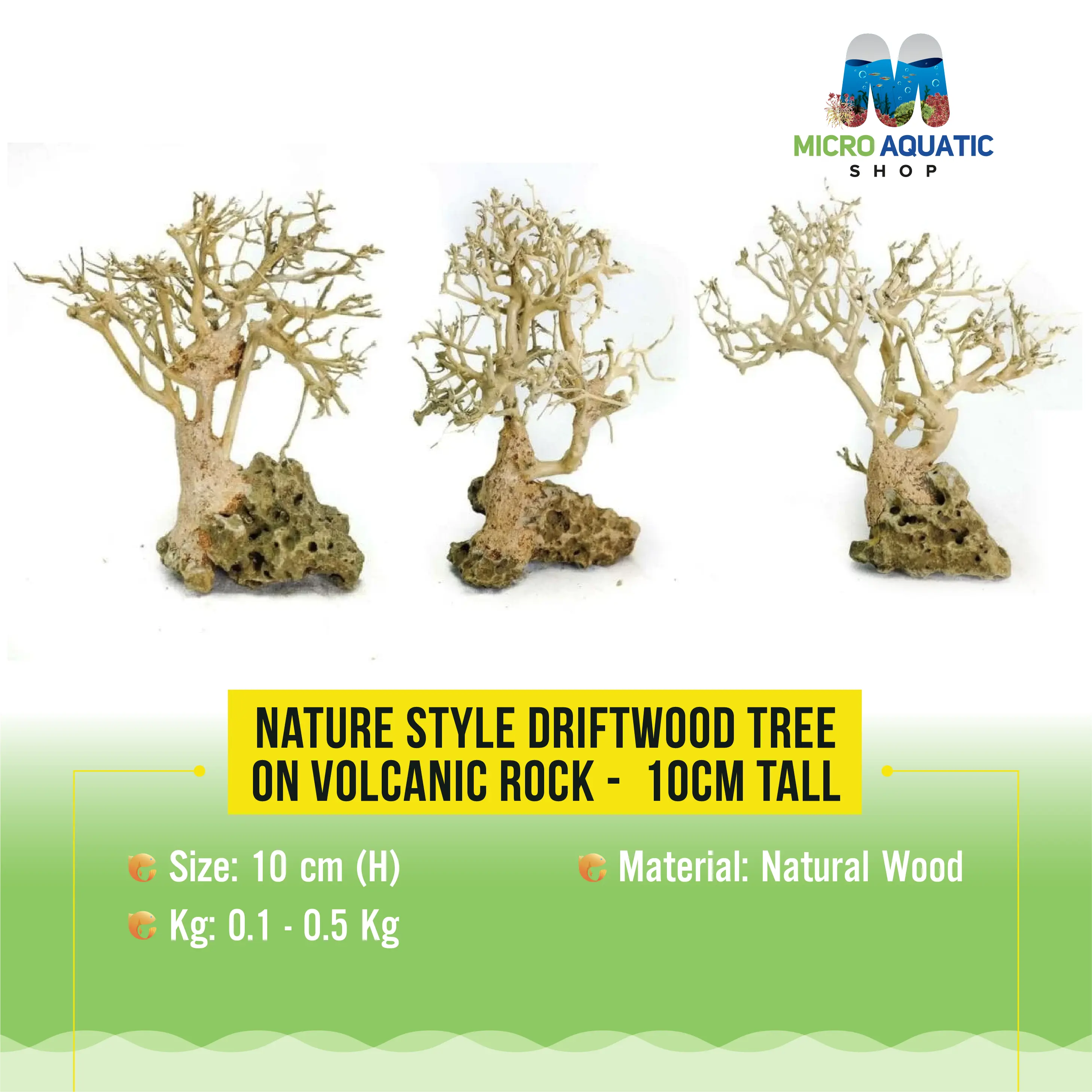 Nature style Driftwood tree on Volcanic Rock - 10cm Tall Micro Aquatic Shop