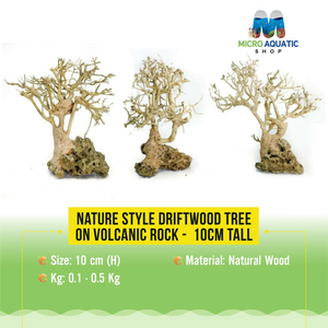 New Nature style Driftwood tree on Volcanic Rock - 15 cm height Micro Aquatic Shop