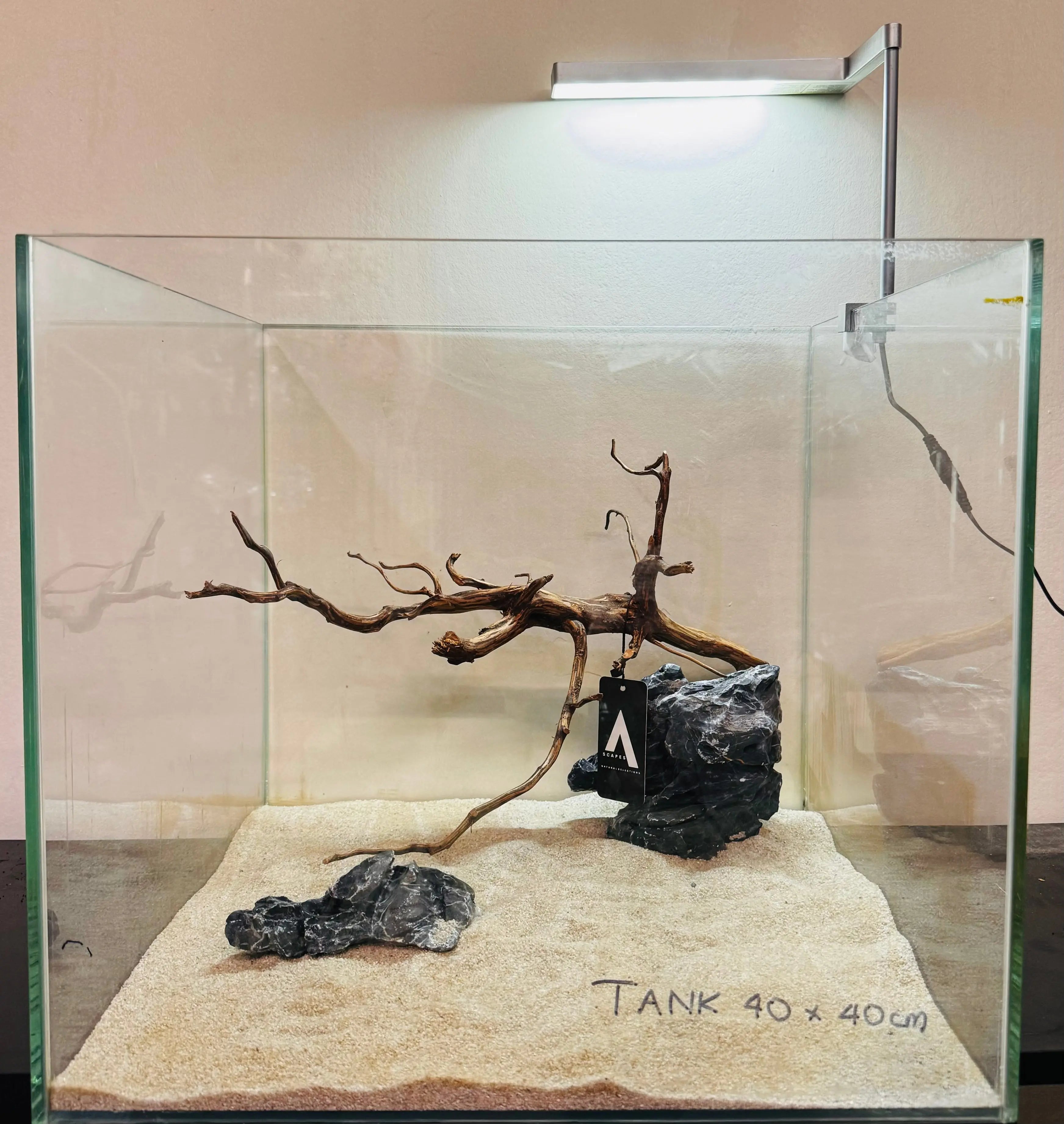 Tiger Driftwood 30-40cm Micro Aquatic Shop