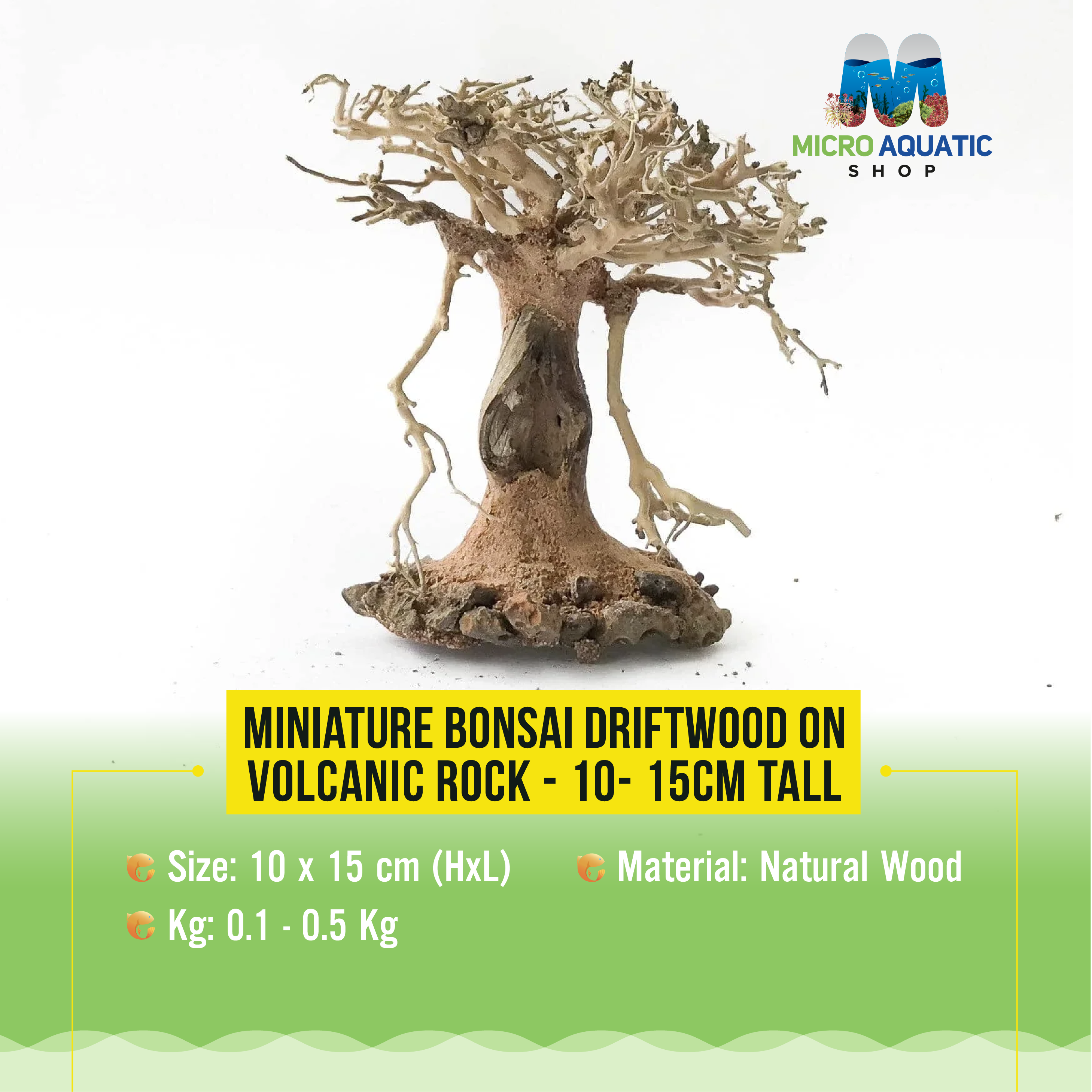 Miniature Bonsai Driftwood on Volcanic Rock - 10- 15cm Tall