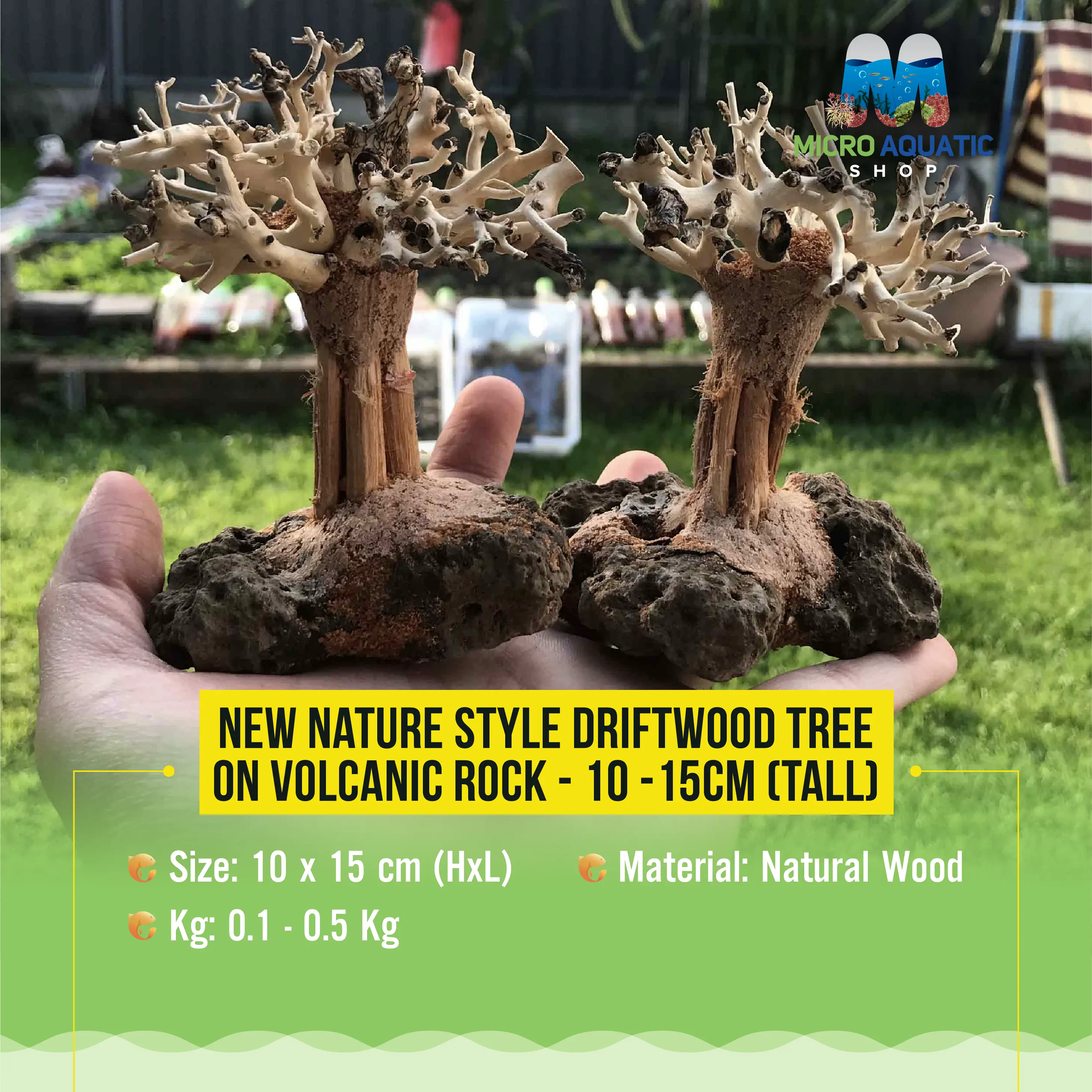 New Nature style Driftwood tree on Volcanic Rock - 10-15cm (Tall ) Micro Aquatic Shop