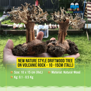 New Nature style Driftwood tree on Volcanic Rock - 10-15cm (Tall ) Micro Aquatic Shop