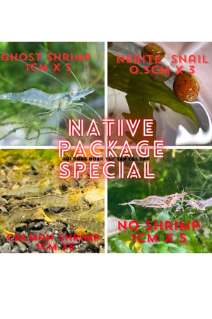 Native Algae Eater Package Special Micro Aquatic Shop