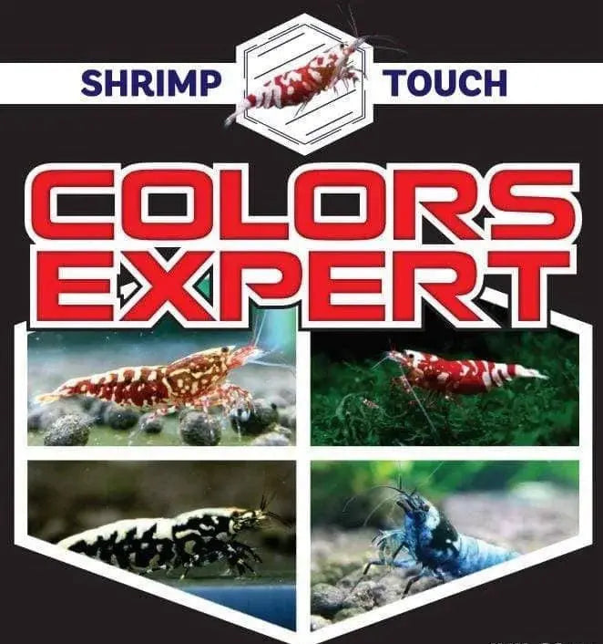 Color Expert - Spinach & Spirulina Secret Food Micro Aquatic Shop