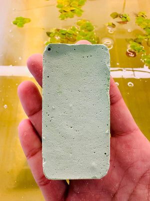 *New* Algae Kill - Aquarium Safe Micro Aquatic Shop