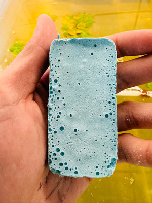 *New* Algae Kill - Aquarium Safe Micro Aquatic Shop