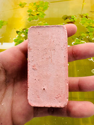 *New* Algae Kill - Aquarium Safe Micro Aquatic Shop