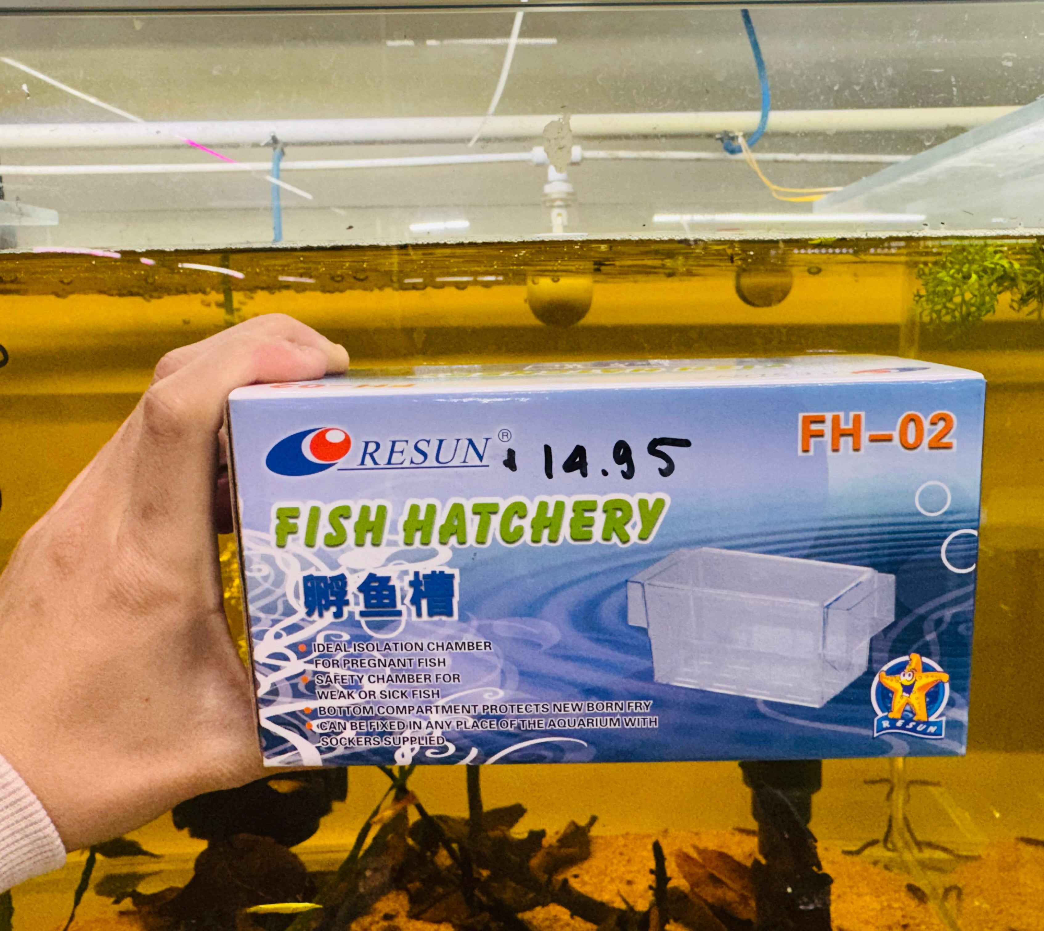 Breeding Box - Acrylic Micro Aquatic Shop