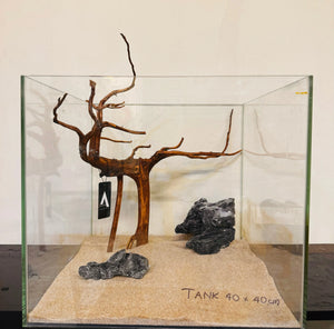 Tiger Driftwood 40-50cm Micro Aquatic Shop
