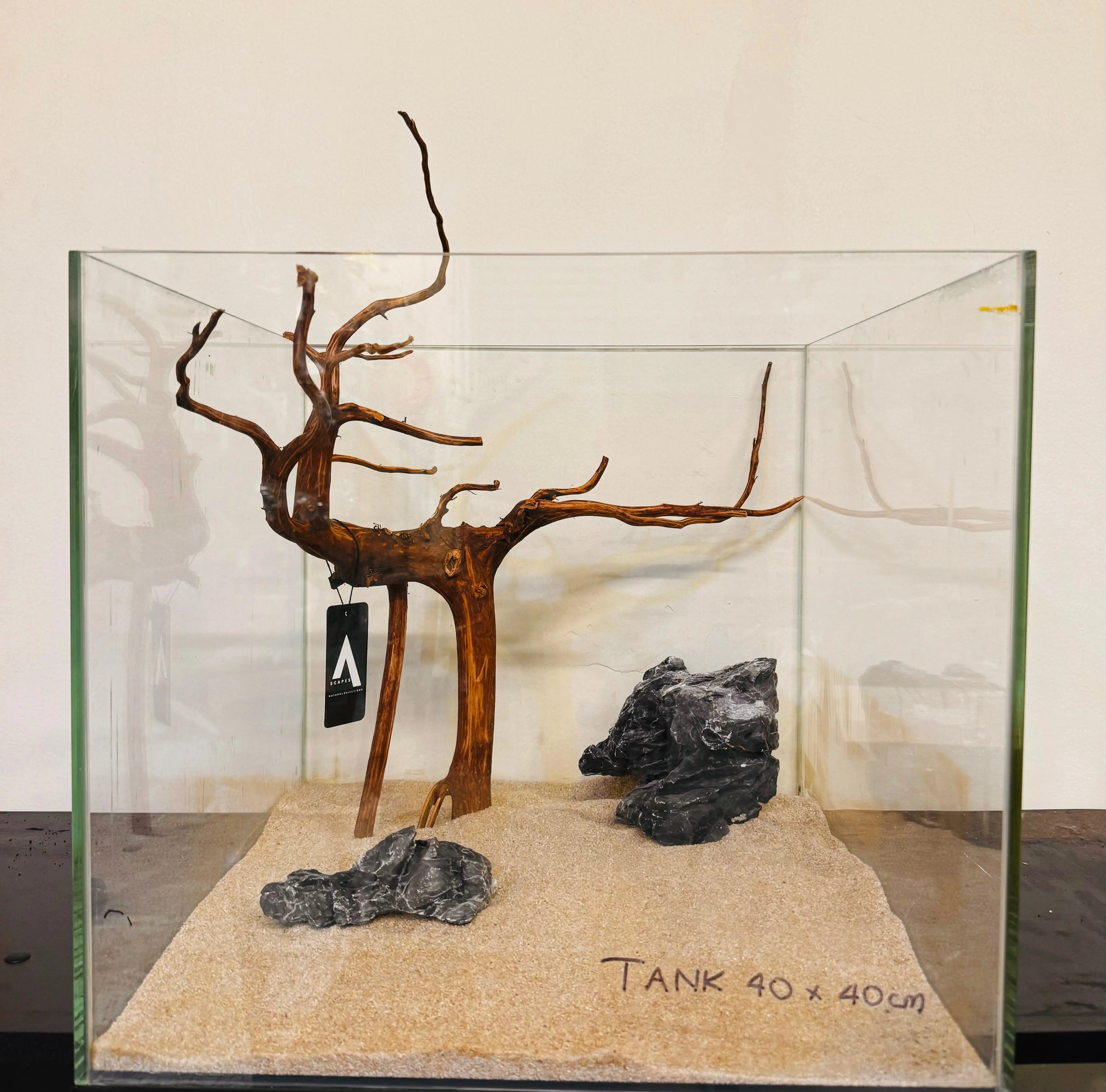 Tiger Driftwood 40-50cm Micro Aquatic Shop