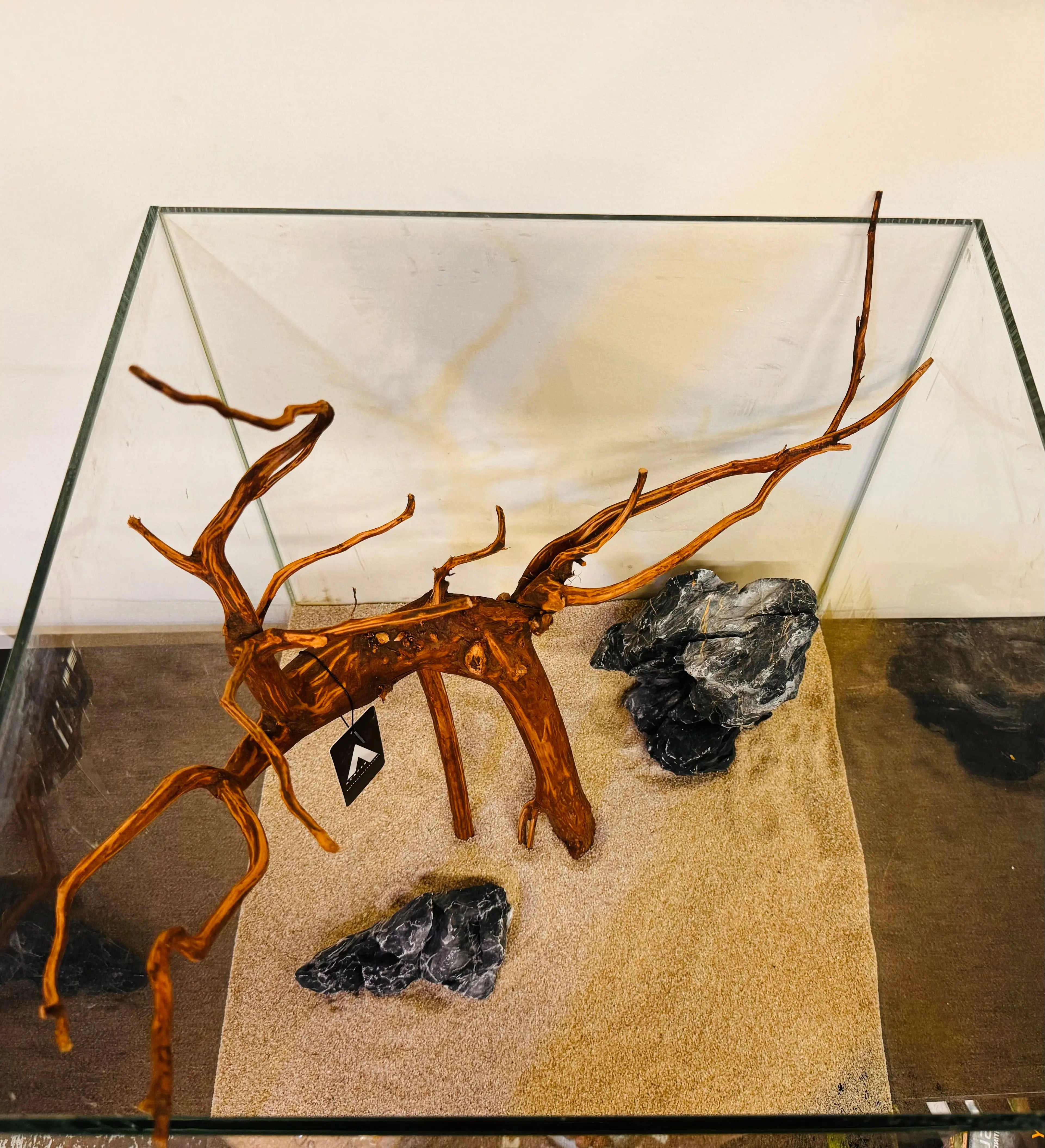 Tiger Driftwood 40-50cm Micro Aquatic Shop