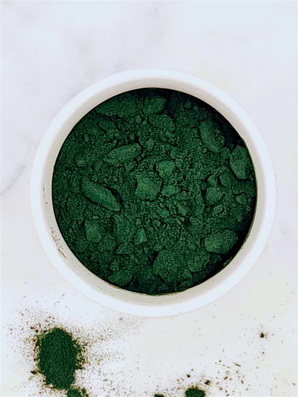 Daphnia Live Culture - Baby fish food