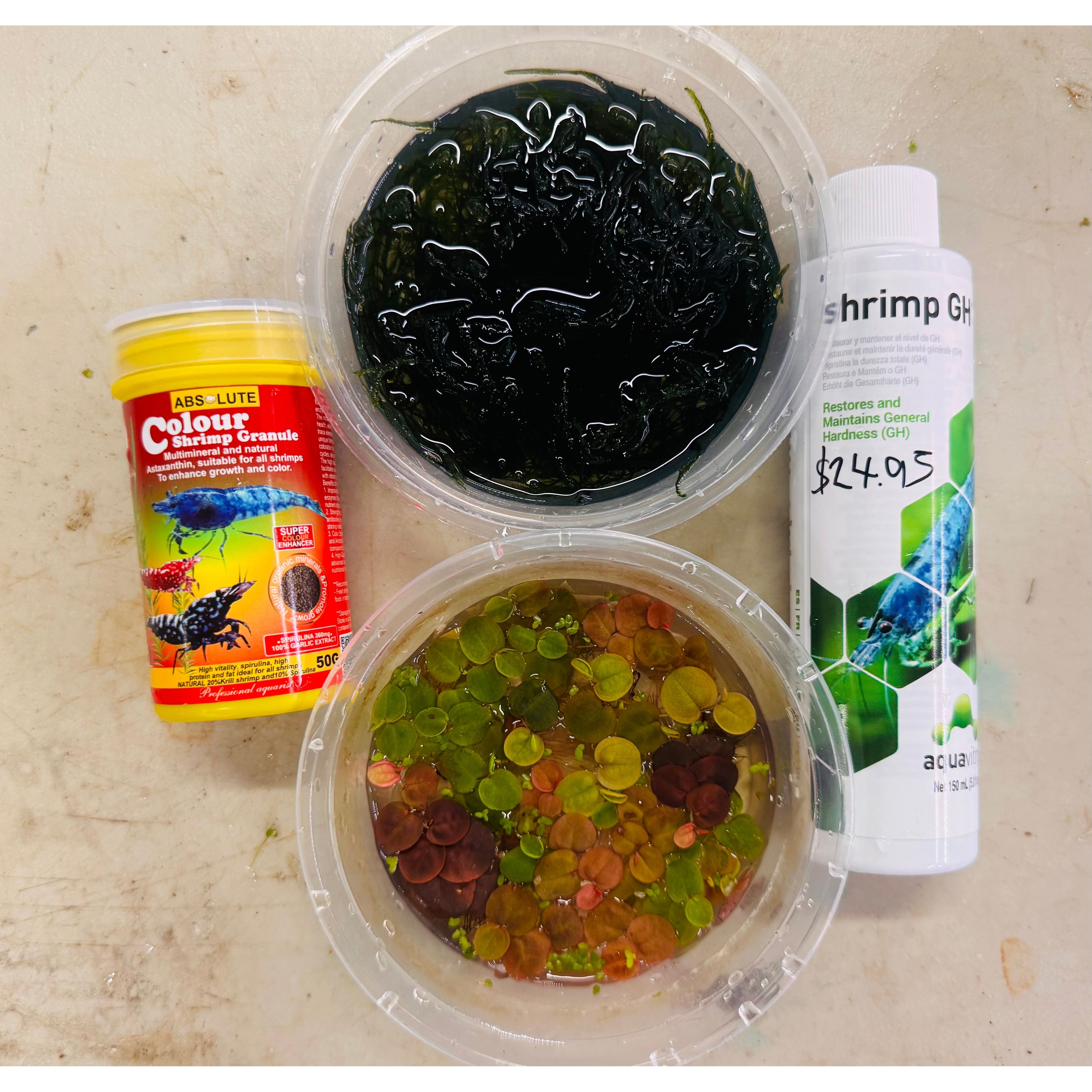 30% SAVE Bloody Mary Cherry Shrimp Starter Bundle Micro Aquatic Shop