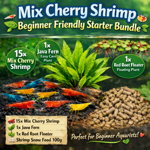 Mix Cherry Shrimp Starter Bundle Micro Aquatic Shop