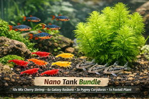 Community Nano Tank Bundle – Shrimp & Fish Mix Micro Aquatic Shop