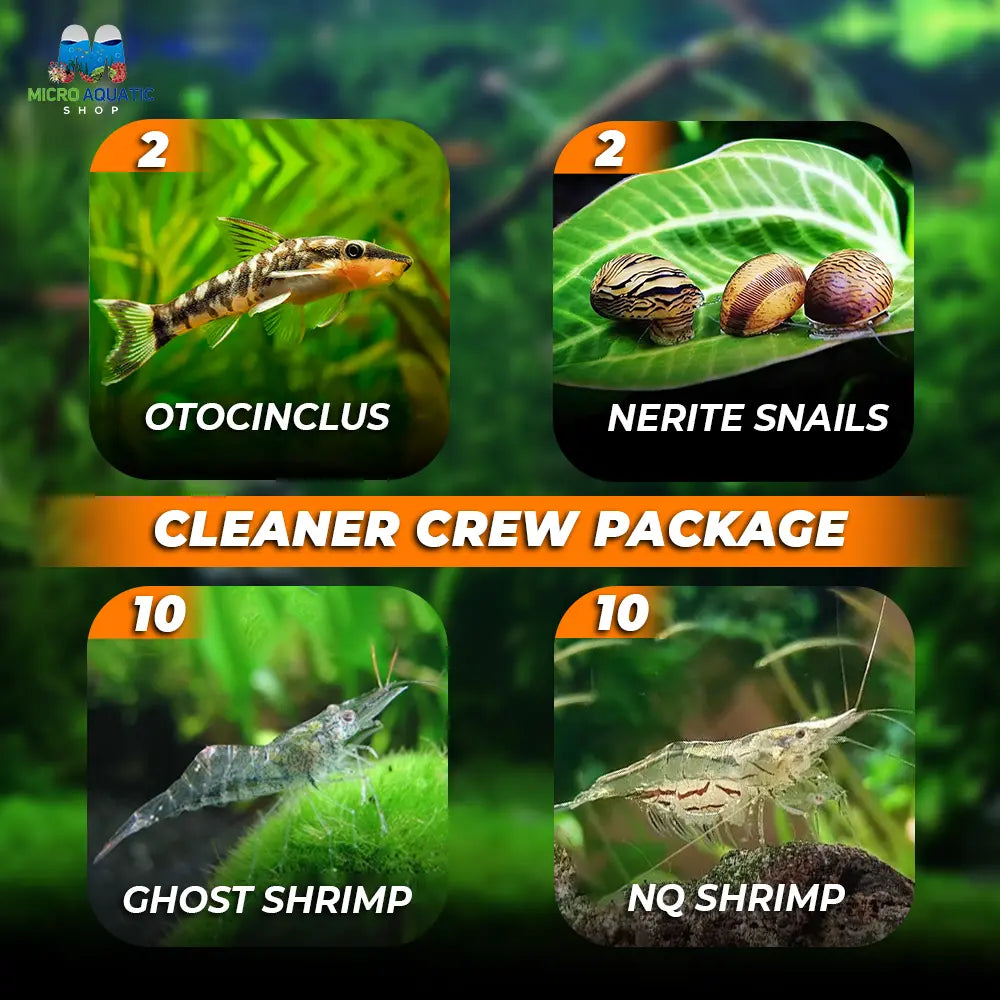 Cleaner Crew Package Micro Aquatic Shop