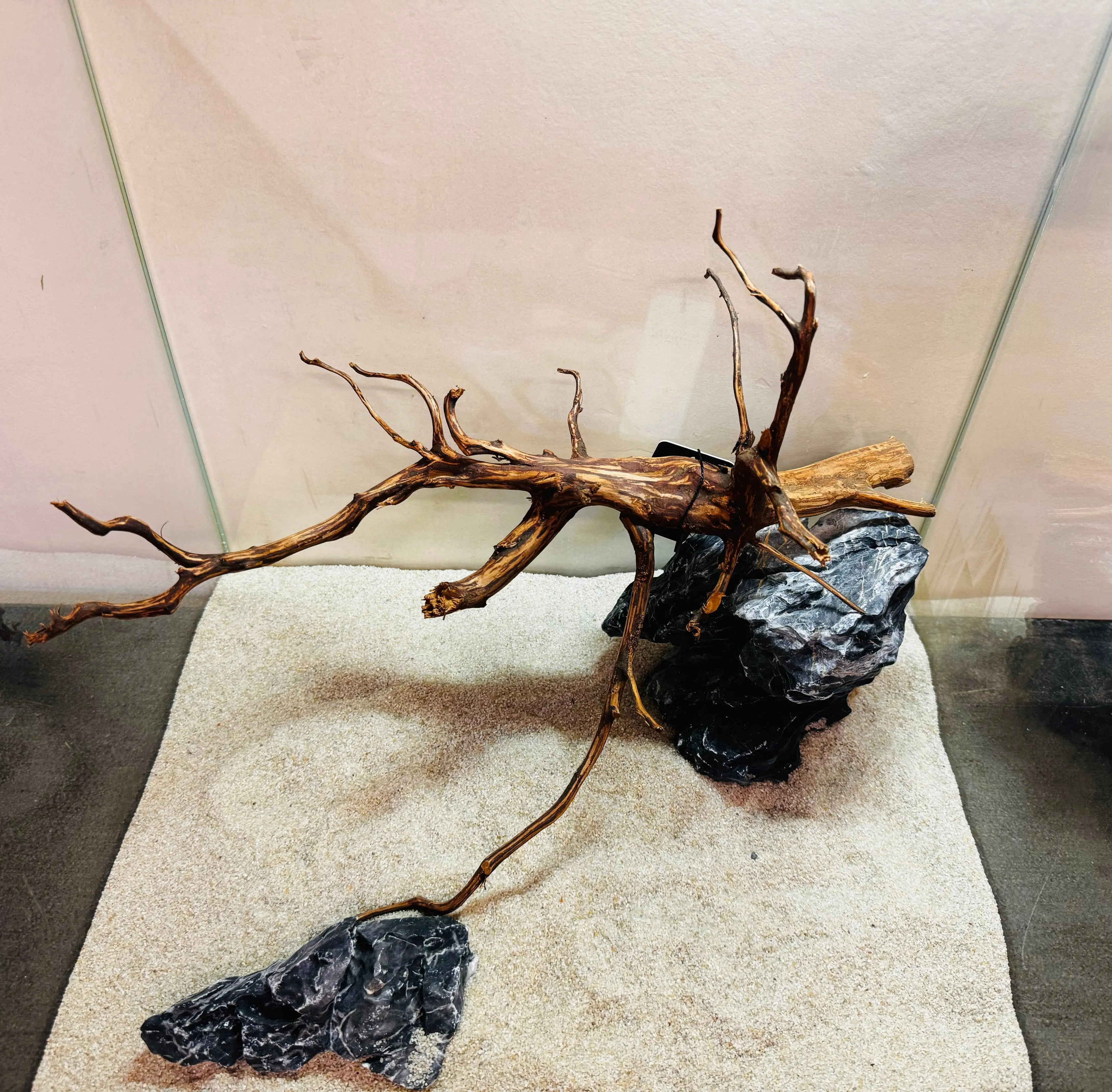 Tiger Driftwood 30-40cm Micro Aquatic Shop