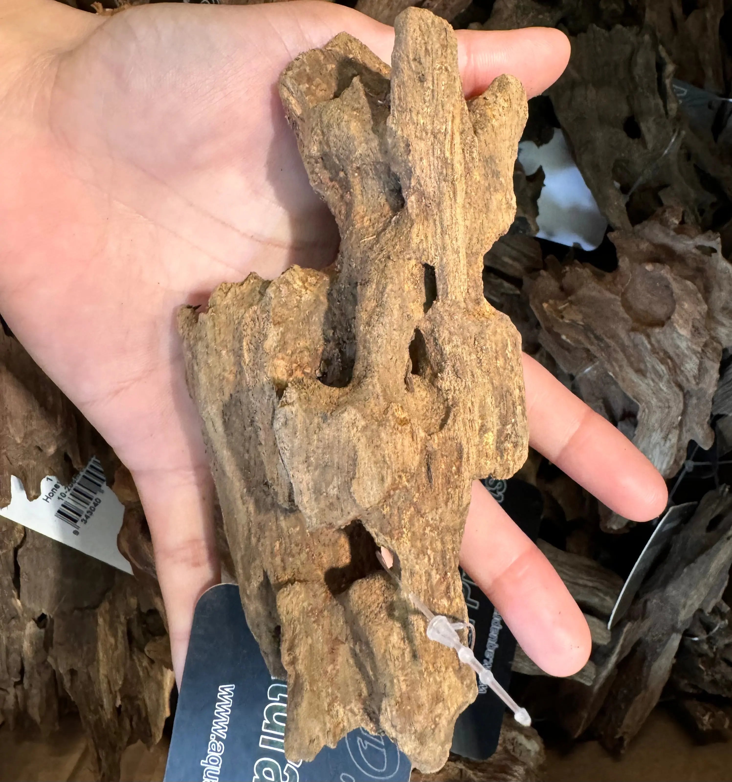 Honeycomb Driftwood 10x20cm Micro Aquatic Shop