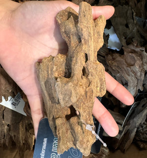 Honeycomb Driftwood 10x20cm Micro Aquatic Shop