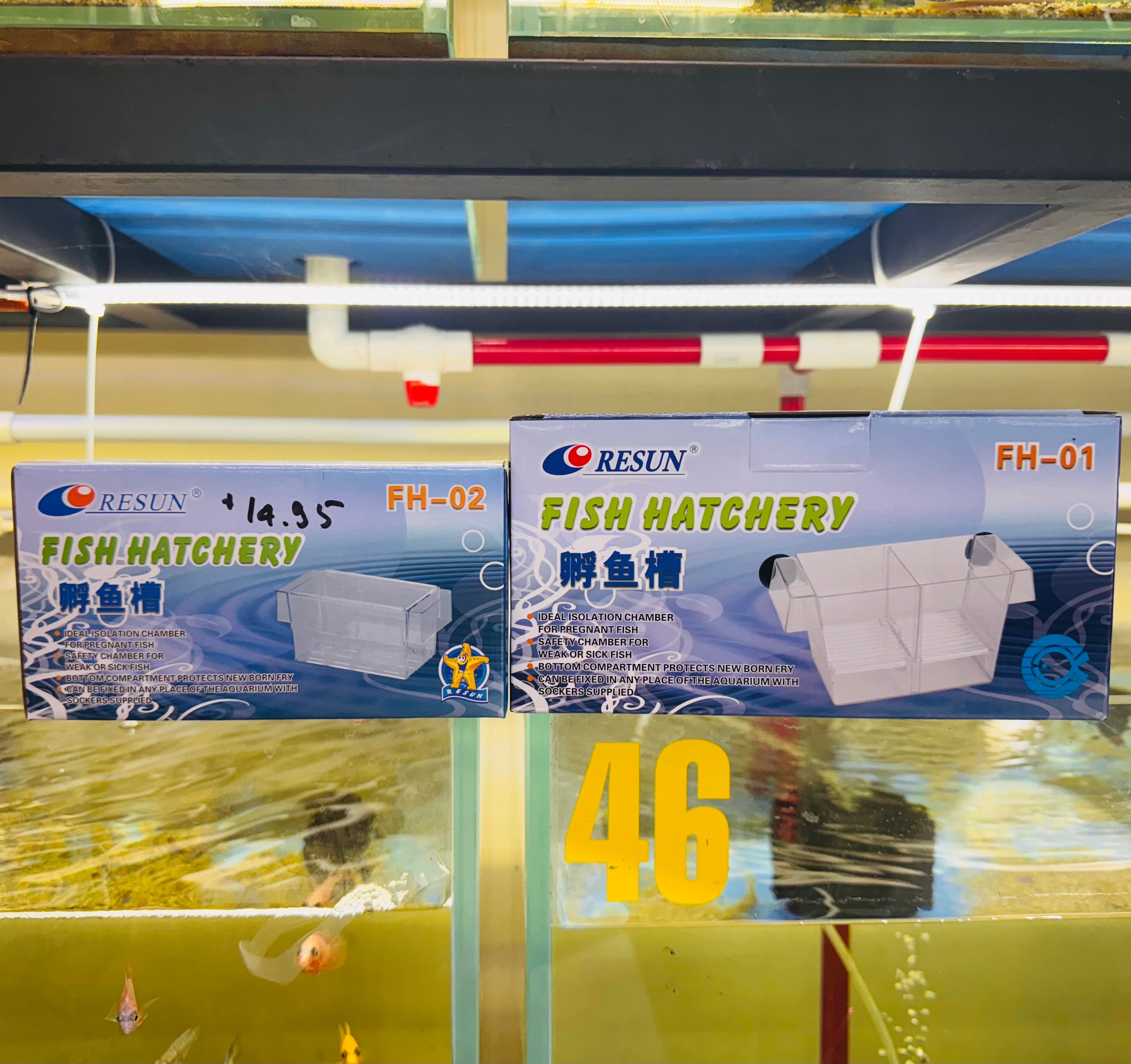 Breeding Box ( Acrylic ) Micro Aquatic Shop