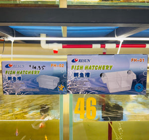 Breeding Box ( Acrylic ) Micro Aquatic Shop