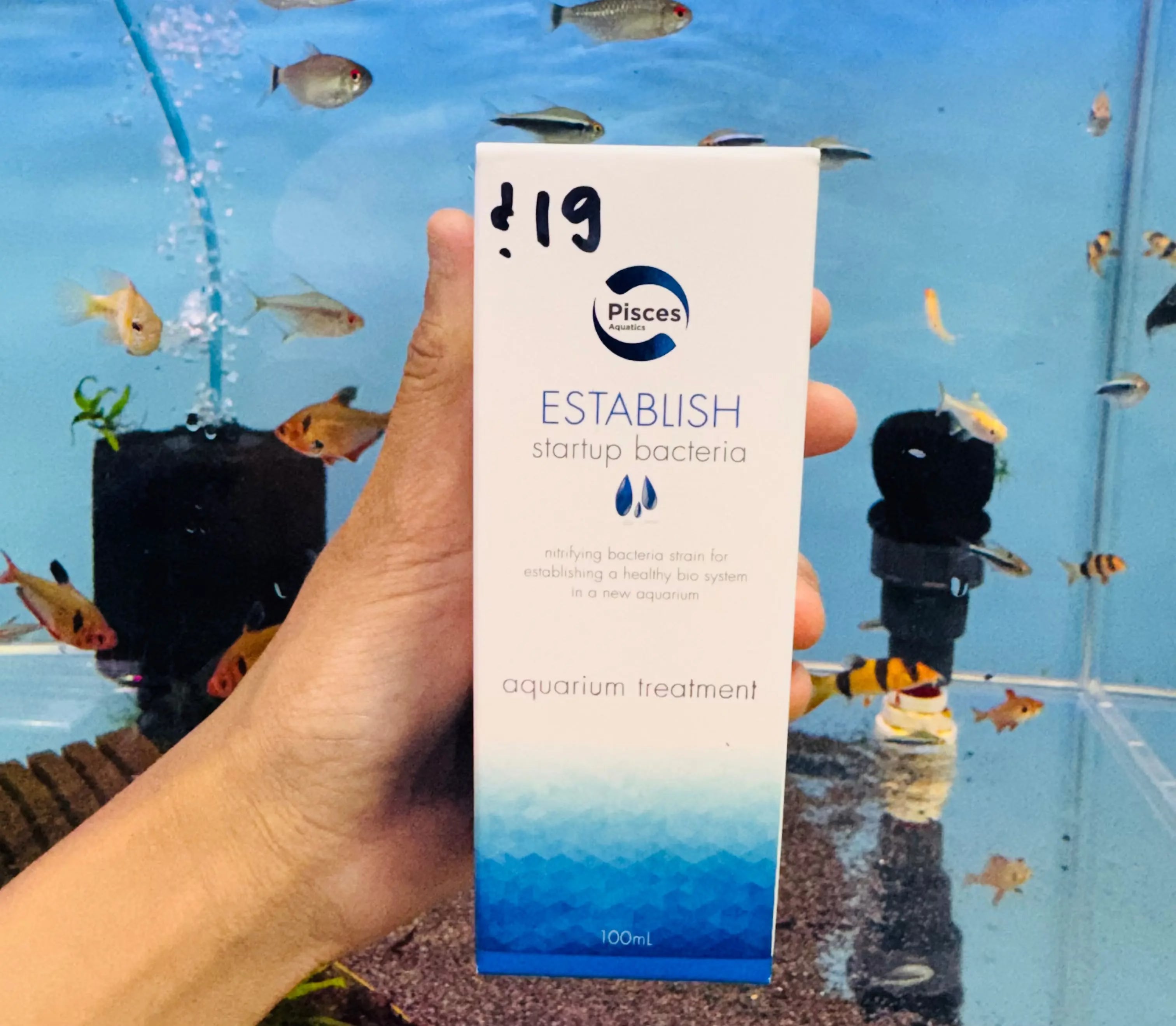 Pisces Lab - ESTABLISH Start Up Bacteria Micro Aquatic Shop
