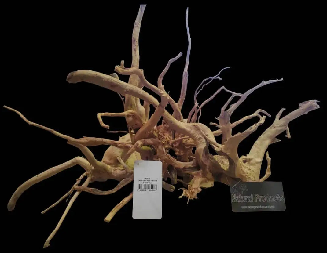 AP Naturals Goldvine Wood (Medium) Micro Aquatic Shop