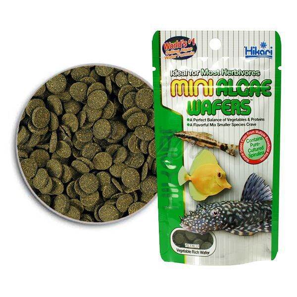 Hikari Tropical Mini Algae Wafers - 85g Micro Aquatic Shop