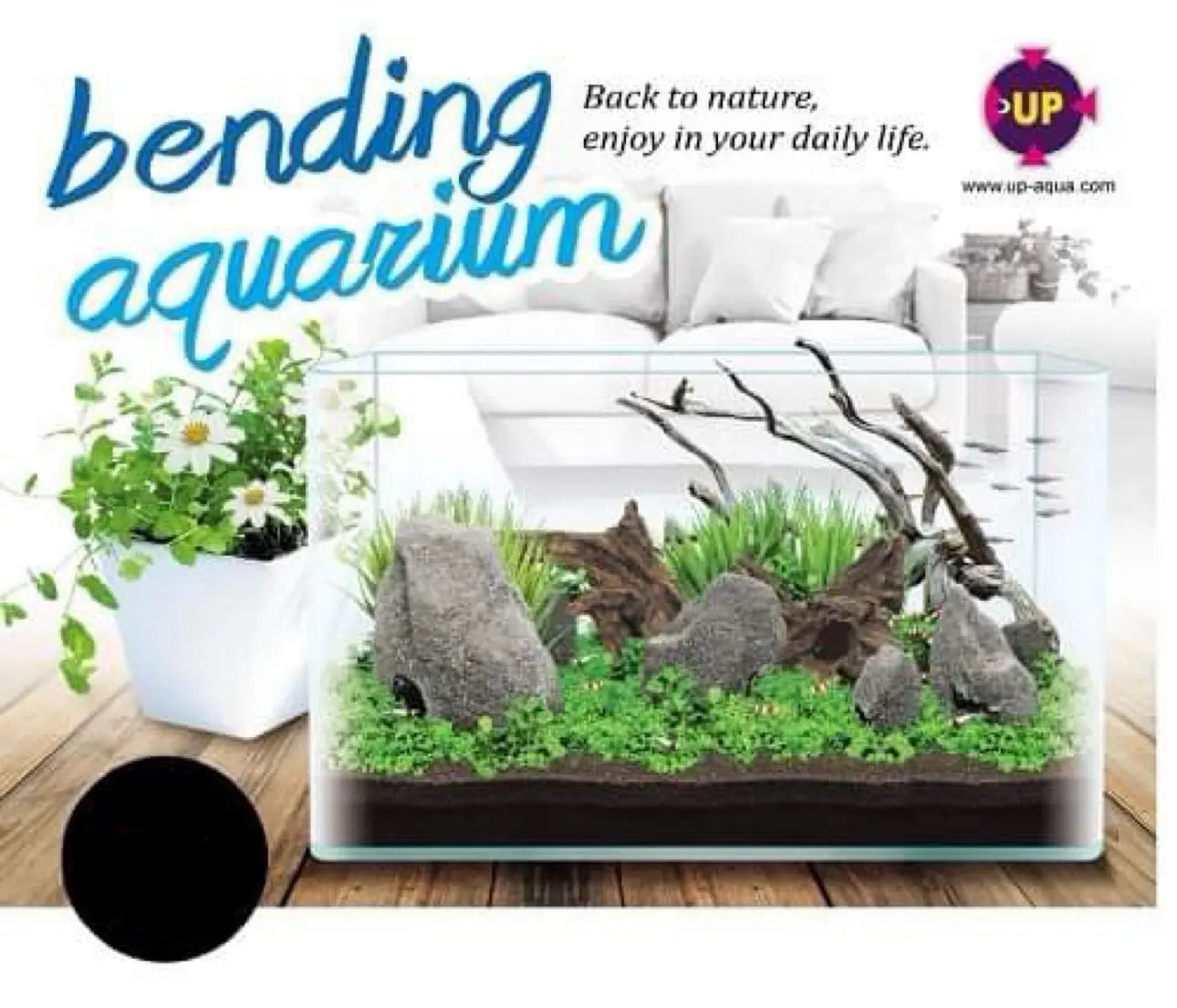 Curve Front Ultra Clear - Rimless Tank 60L Micro Aquatic Shop