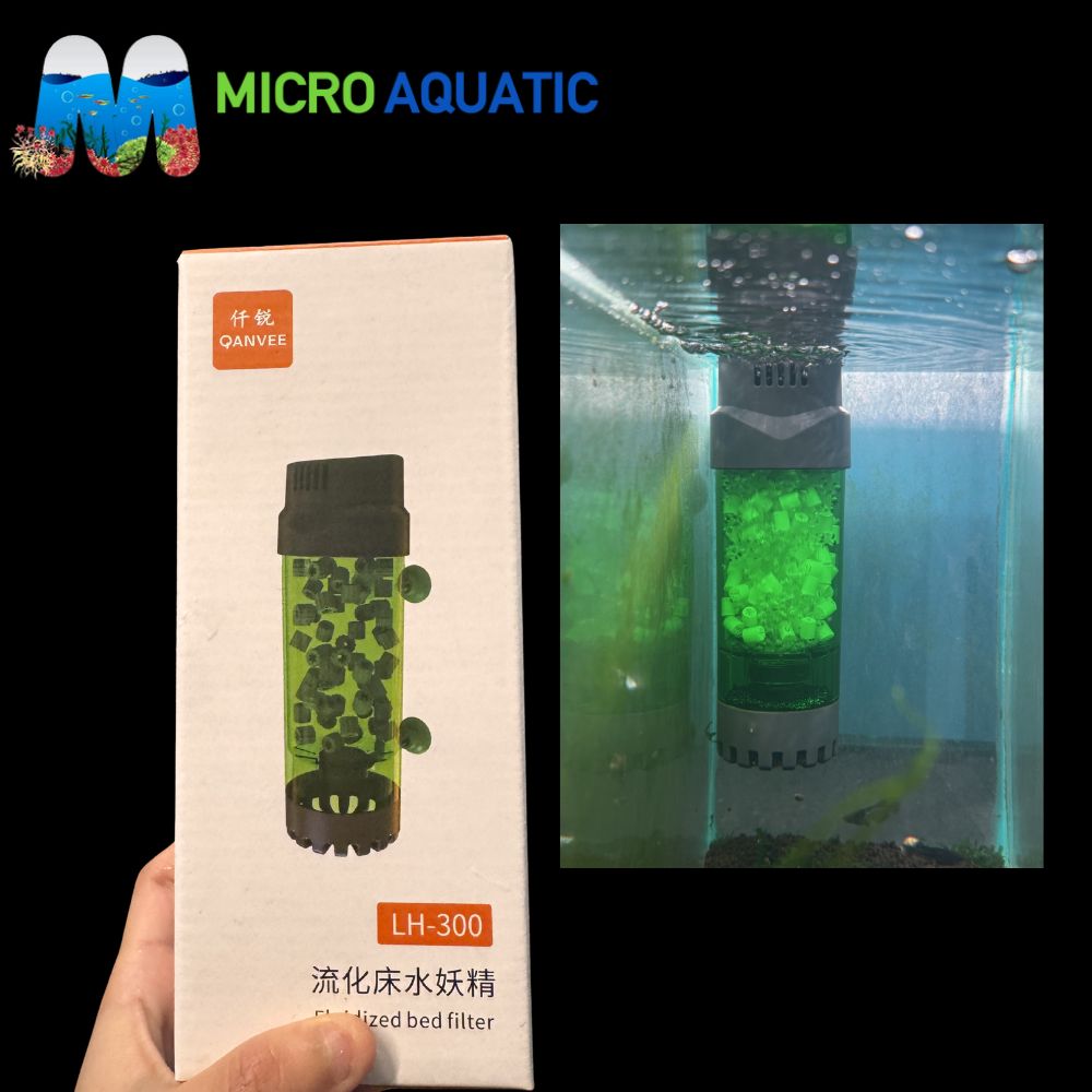Quanvee Shrimp Filter -Fluidized Bed Filter Micro Aquatic Shop