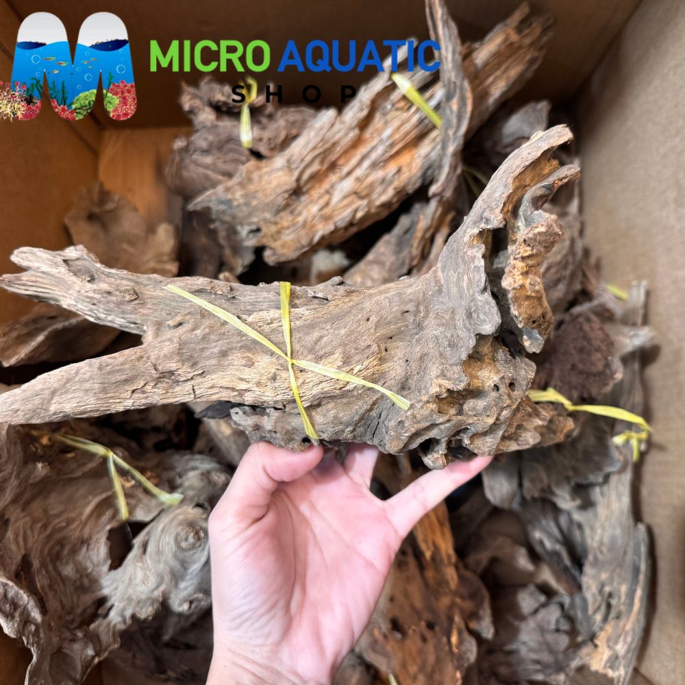 Assorted Dragon Driftwood