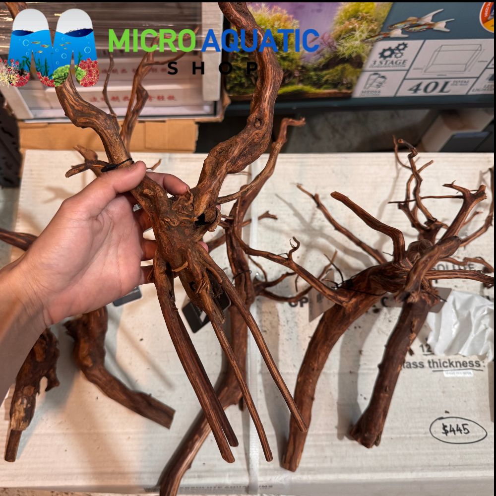 Driftwood- Tiger size L 30-40cm