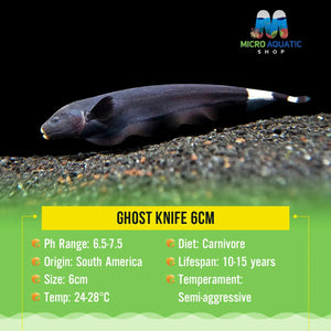 Ghost Knife 6cm Micro Aquatic Shop