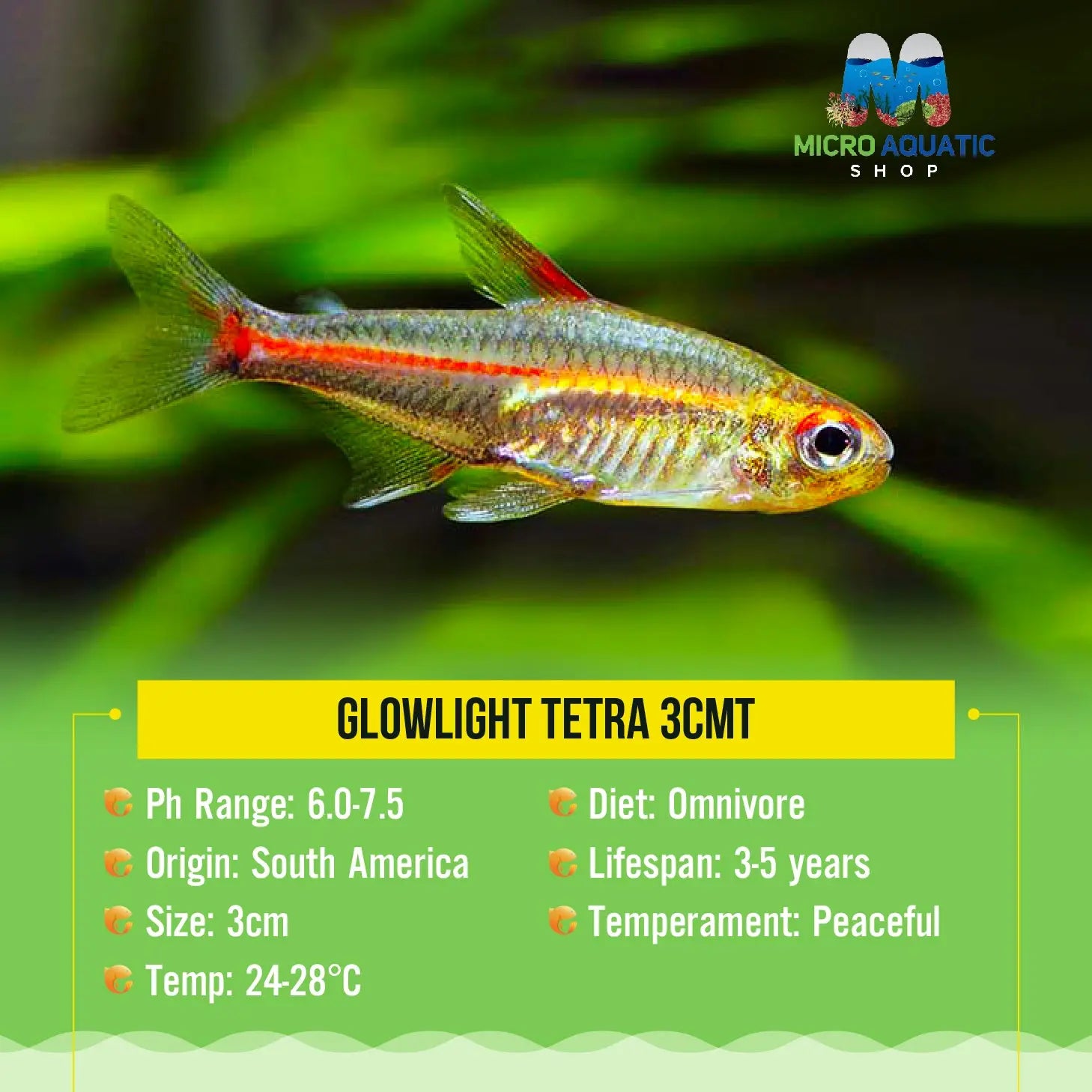 Glowlight Tetra 3cm