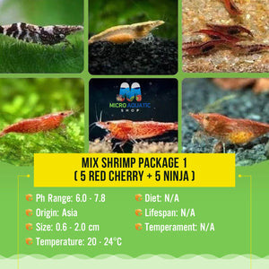 Mix Shrimp Package 1 ( 5 red cherry + 5 ninja ) Micro Aquatic Shop